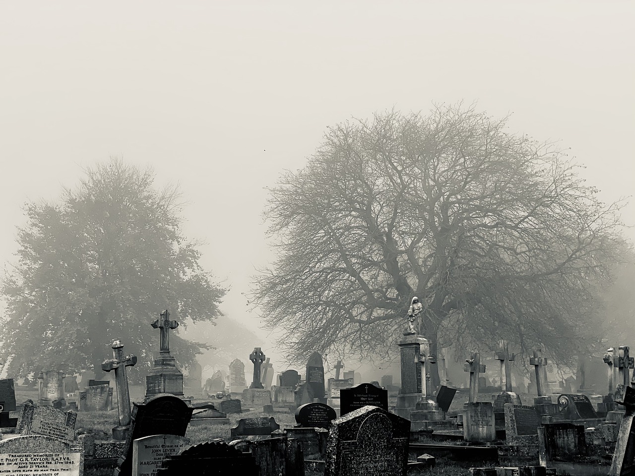 The Cultural Significance of Historic Cemeteries